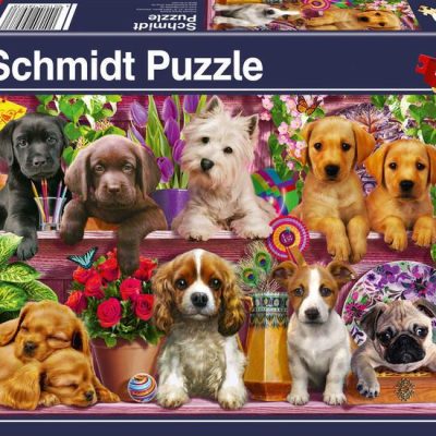 Schmidt Kutya a polcokon